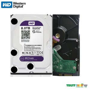 Western Digital 8TB 3.5″ PURPLE HDD